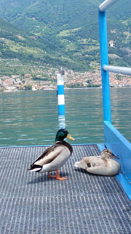 Light On Lake Iseo Clusane Exterior foto